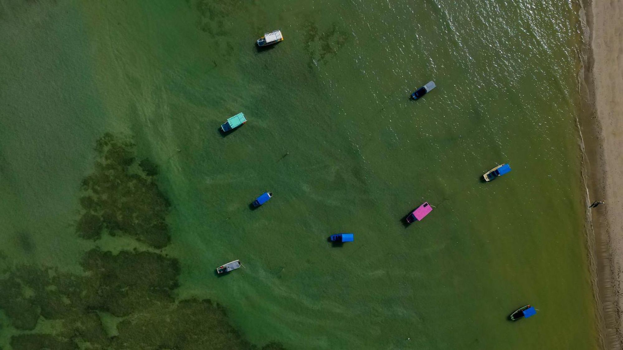 Pousada Mirai São Miguel dos Milagres Dış mekan fotoğraf